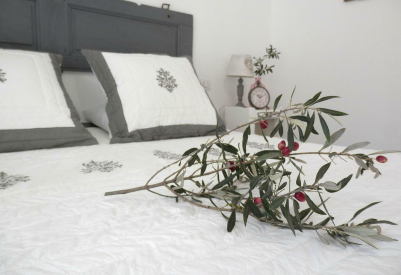 La Villa Aux Oliviers Flayosc Ngoại thất bức ảnh